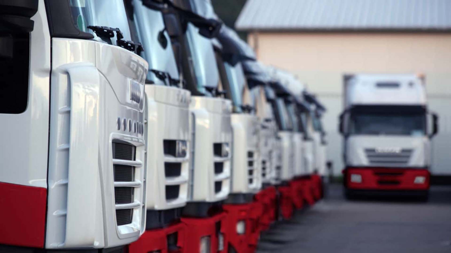 Mais de 20 anos de experiência no mercado logístico | Expresso Duarte Logística e Transportes LDTA.